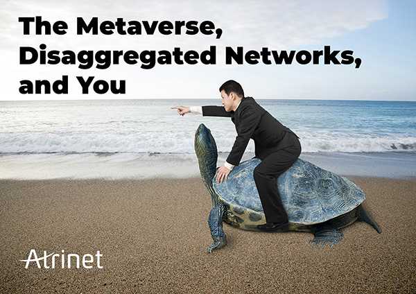 MetaVerse & Disaggregated Networks