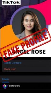 TikTok fake profile